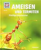 WAS IST WAS Band 136 Ameisen und Termiten. Fleißige Baumeister (WAS IST WAS Sachbuch, Band 136) by 