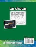 Image de Las Charcas = Ponds (Biomas y los Ecosistemas)