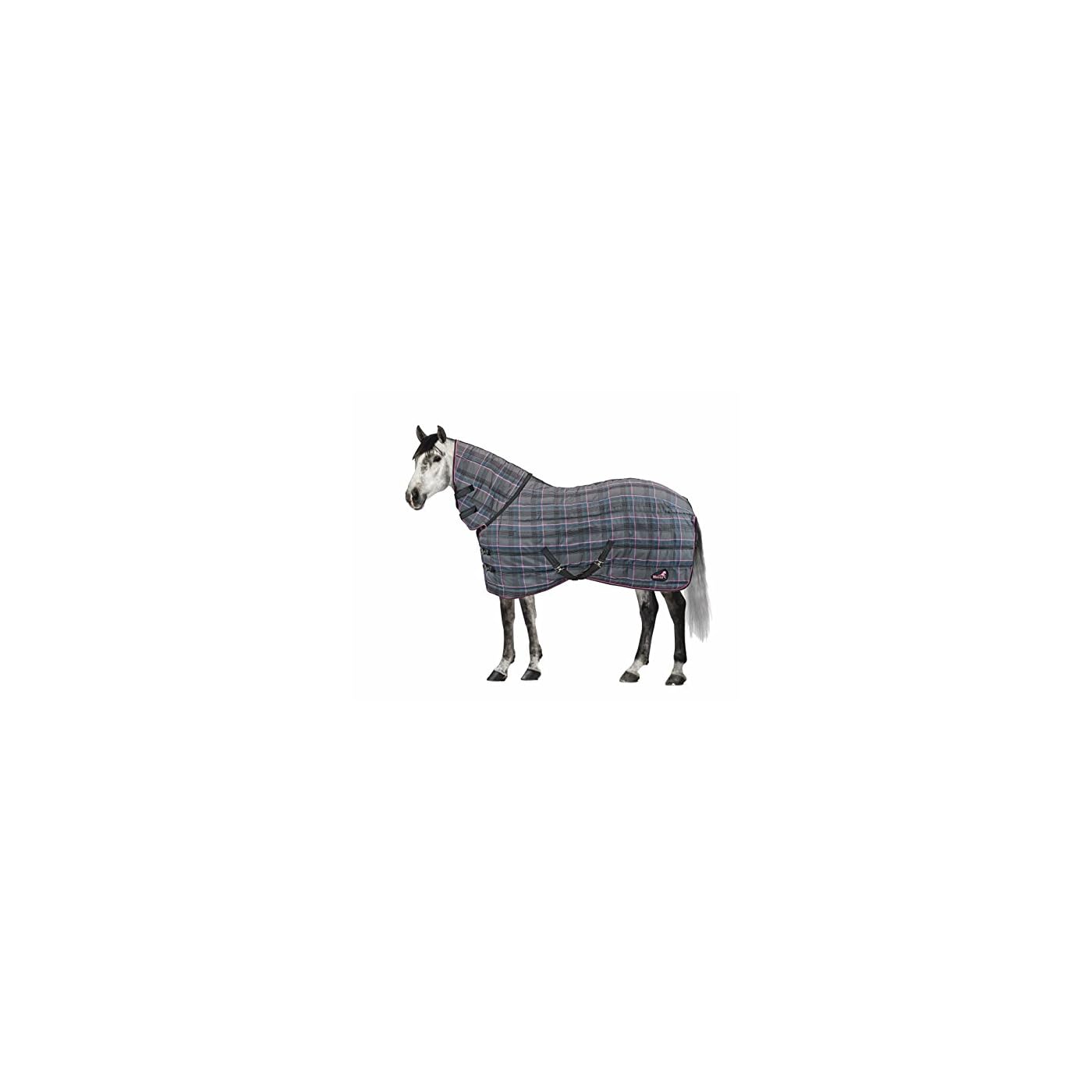 Horse ‘n’ Pony