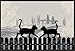 Produktbild wash+dry Waschbare Fussmatte - Cats in Love - Fußabstreifer Katzenliebe mit Katzen Motiv ca 50x75cm