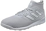 Schuhe adidas Herren Ace Tango 17.3 TR Fußballschuhe, Grau (Clear Grey/Footwear White/core Black), 44 2/3 EU