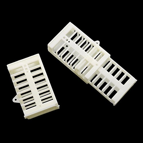 Adhere To Fly 20 PCs Multifunktions Königin Käfig Biene Match Box Biene Bewegliche Biene Fänger Käfig Bienenzucht Werkzeug Plastik - 3