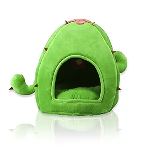 NANDOG Insta Fun Specialty Dog and Cat Bed Collection (Cactus)