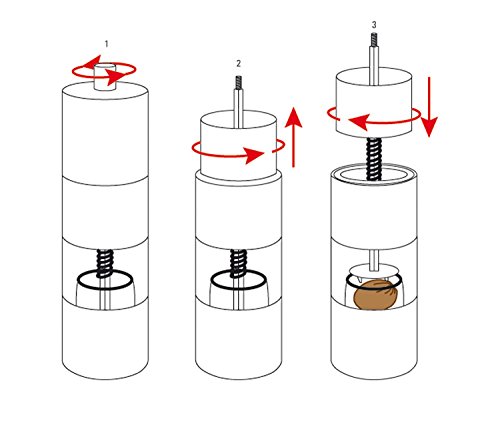 Muskatmühle Miami - 2