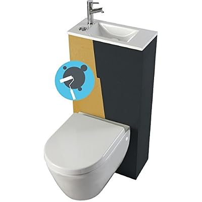 PlaneteBain Pack Wc suspendu avec lave mains int
