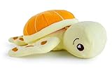 SoapSox Turtle Toy