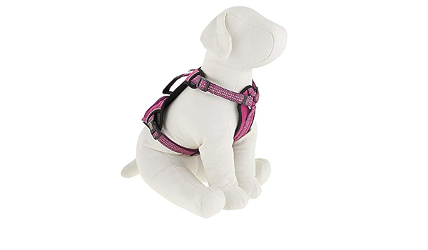 kong waste bag harness medium
