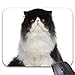 Price comparison product image Customized Design Rectangle Non-Slip Rubber Mousepad Gaming Mouse Pad Black and White Persian Cat Mouse Mat