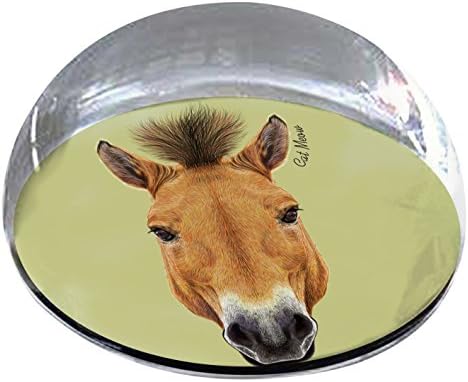Forever Crystal "Horse Head" Pet Memorial Magnet