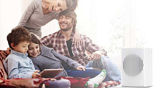 Dahle 80100-11705 nanoClean Luftreiniger mit HNF3 Hochleistungs-Nanopartikelfilter - 10