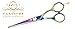 CANDURE® 6" (15.97 cm) Professional Razor Edge - Salon Cutting Hairdressing Scissors Hair Shears Hairdressing Equipment Tool Pink - Barber Hair Cutting Scissors/Shears With Fine Adjustment Tension Screw - Japanese Stainless Steel (CAN-2028)