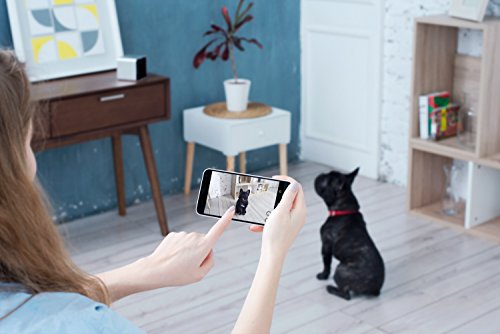 Petcube-Interactive-Wi-Fi-Pet-Camera