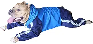 Doxters Full Coverage Dog Raincoat, Tough Coat, for Medium and Large Dogs, Like Pug, Beagle, Cocker Spaniel, Dachshund, Pariah, French Bull Dog Puppies of Large Breeds (N Blue and R Blue, Size 20)