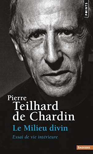 Télécharger Le milieu divin, tome 4 : Essai de vie intérieure Gratuit