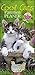 Cool Cats Familienplaner. Wandkalender 2020. Monatskalendarium. Spiralbindung. Format 22 x 48 cm by