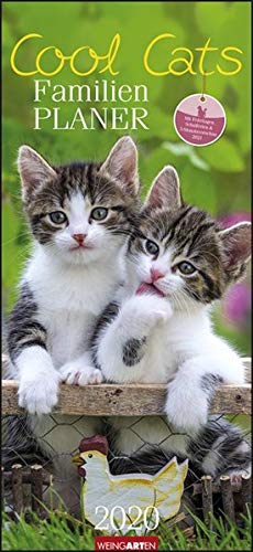 Cool Cats Familienplaner. Wandkalender 2020. Monatskalendarium. Spiralbindung. Format 22 x 48 cm