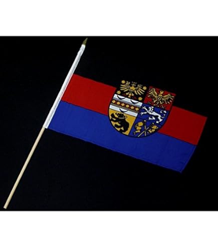 Buddel Bini Franken Tischflagge 15x25cm - Profi Qualität - Beidseitig Bedruckt