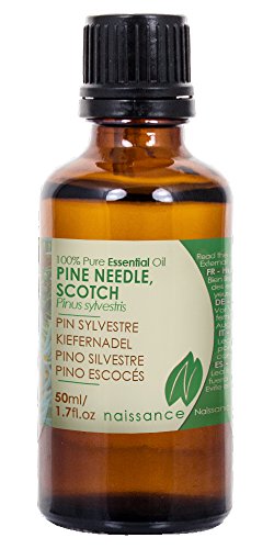 Kiefernadel - 100% naturreines ätherisches Öl - 50ml