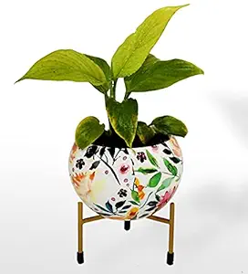 HINS White Flower Print Metal Round Shape Flower Plant Pot For Indoor Plants Metal Pots For Indoor Plants I Elevated Garden Planter I Raised Planter I Desk Plant I Raised Planter Box I Ascent Homes Metal Planter I Raised Planter Box With Legs I Brass Pots For Indoor Plants I Golden Planter I Mid Century Plant Stand I Brass Planters For Indoor Plants I Indoor Plant Stand For Living Room I Metal Planters Pot For Indoor Plants designer pots for indoor plants