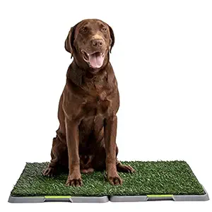 Potty Patch - As Seen on TV, Large