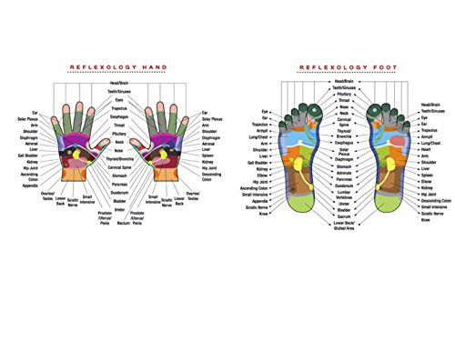 Footfix Premium Massagebälle – 3er-Pack – Fußreflexzonen-Massage & Trigger-Point-Therapie – 2 Massagebälle mit Noppen & 1 Lacrosse-Ball für tiefe Muskelmassage inkl. Benutzerhandbuch - 9