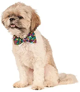 Rainbow Sequins Pet Bowtie, Small/Medium