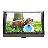 Visitenkartenetui, Ahornsirup, Delaware x, Hundemann, Visitenkartenetui aus Edelstahl