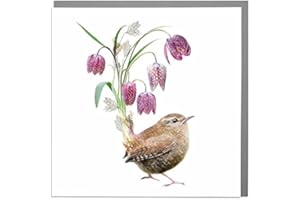 LOLA DESIGN LTD Lola Design - Wildlife Botanical Greeting Cards - Blank Cards and Envelopes - Wren Bird Animal Card