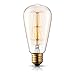 Produktbild TRANSTEC® ST64 Vintage Edison Glühfaden Birne - Eichhörnchen-Käfig Filament - 60W Glühlampe E27 - Industrie Retro altmodische - Klar Warmweiß 2700K - Edison Dekorative Glühlampen Dimmbar [Energieklasse A ]