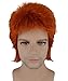 Produktbild DAVID BOWIE 'ZIGGY STARDUST' COSTUME WIG | HD-1036
