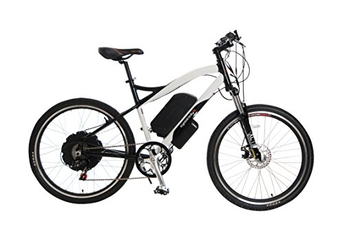 cyclotricity electric bike conversion kit