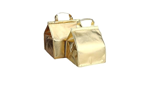 Tamumu Etanche A Gateaux Sac Conservation Sac Isotherme Pique Nique Cooler Sac De Transport Dore 3 Cm 10inch 10inch Lot De 2 Sacs De Pique Nique Rangement Pour La Cuisine