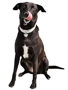 D'chica Paws Faux Pearl Collar Jewellery for Dog & Cats -1 Pcs Adjustable, Soft/Comfy for Pets to wear, Easy for use for Parents