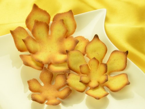 Preisvergleich Produktbild Hippenschablonen Magnolie 5-teilig