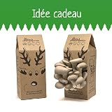 Kit Champignons - Prêt à...