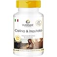 Compresse di colina con inositolo - 90 Compresse | Warnke Vitalstoffe