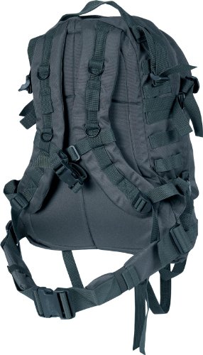 « Click to Enlarge and to go to Amazon »