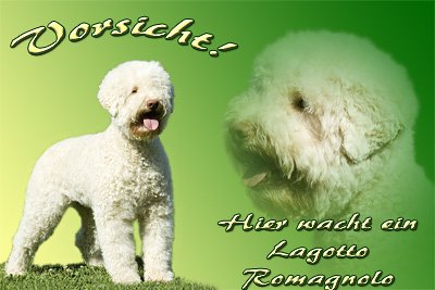 Preisvergleich Produktbild Metall - Warnschild Lagotto Romagnolo, Italienischer Trüffelhund