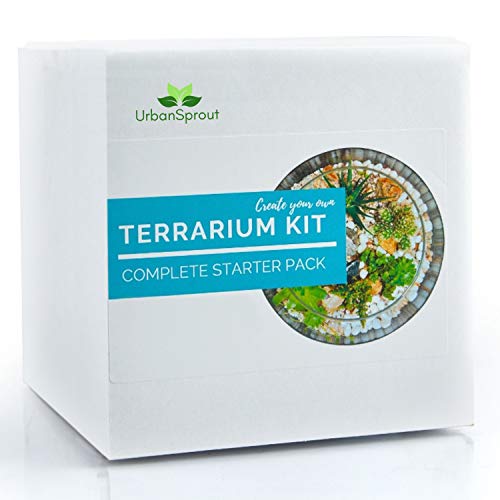 Kit Planta Terrario para Suculentas Plantas y Cacti. Incluye suelo de cactus, musgo, grava y guía paso a paso