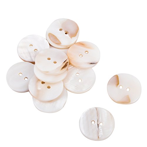 Knopf Deko 12er Set Muschel 2x2cm perlmutt Bastel Kreativ