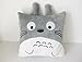 My Neighbor Totoro square pillow
