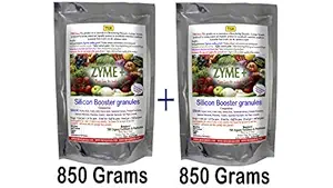 TSR Zyme Plus Plant Growth Promoter (850 + 850 Grams) with Silicon Slow Release boosters for All Types of Indoor and Outdoor Garden Plants