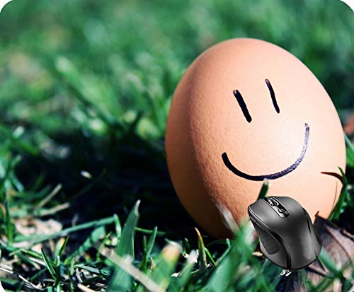 Preisvergleich Produktbild SHAQ