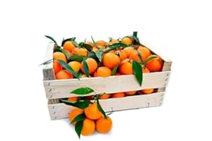 GENERICO CLEMENTINEN - 9 KG PACKUNG - SÜß UND KERNLOS - Hergestellt in CORIGLIANO-ROSSANO in der Sibari-Ebene - FRISCHESPARENDE VERPACKUNG - Azienda Agricola L'Ideale