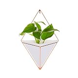 Macetero geométrico para colgar en pared, para jardines interiores,...