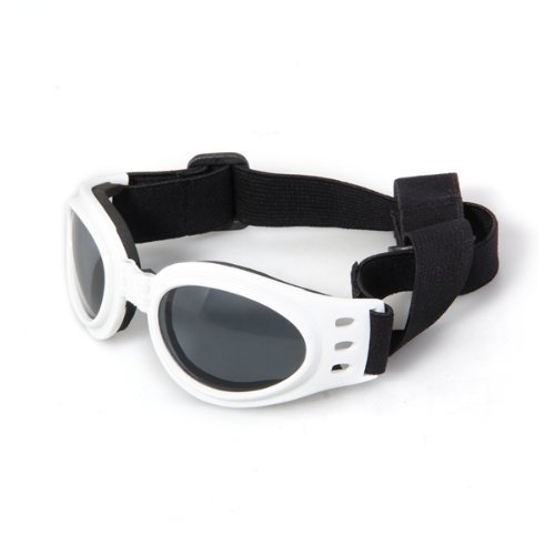 TOOGOOR-White-Framed-Pet-Puppy-Dog-UV-Protection-Goggles-Sunglasses-Eyewear