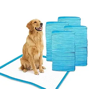 Patch & Marshall Heavy Duty XL Dog Training Pads,60 Pieces, Size: XL, 60x90 cm Training Pee and Potty Pads with Quick Drying Surface and Absorbent Core, Suitable for Small, Large Breed Puppies