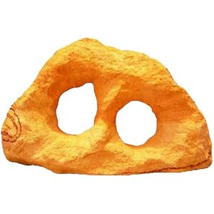 Regenbogen Lochgestein 2 Löcher, Dekoration für Aquarien und Terrarium