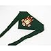 Price comparison product image Campfire Flashing LED Adult Scout Necker Scarf