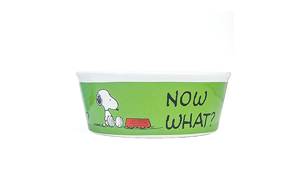 Peanuts Snoopy Green Dog Bowl Heavy Stoneware Pet Dish 5 Inch Wide Amazon Co Uk Pet Supplies